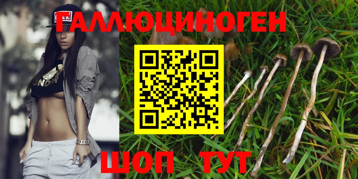 Галлюциногенные грибы GOLDEN TEACHER Кумертау