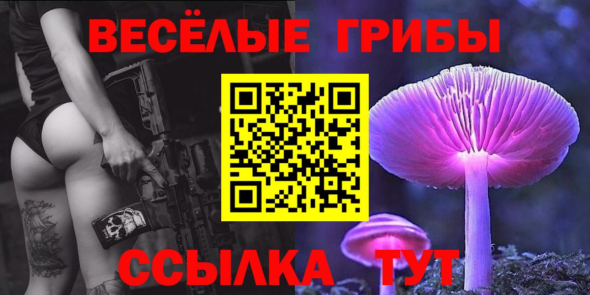 закладка  Вход с VPN  Кумертау  Галлюциногенные грибы GOLDEN TEACHER  Галлюциногенные грибы Magic Shrooms 